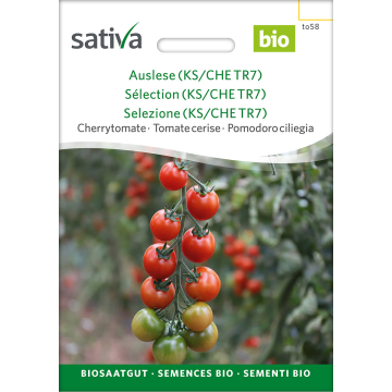 Tiamarie – Cherrytomate Bio
