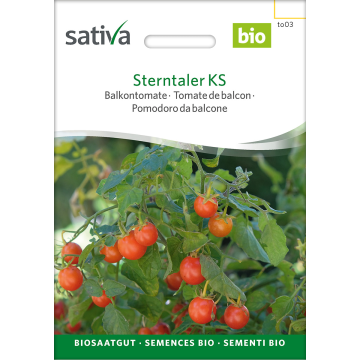 Sterntaler KS – Cherrytomate Bio