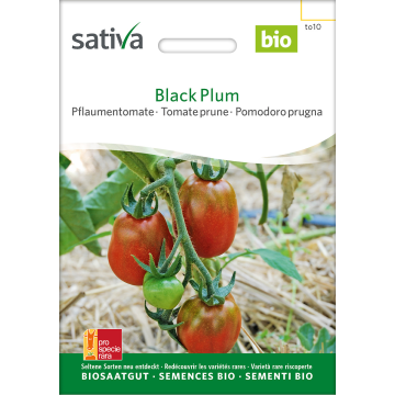 Black Plum – Pflaumentomate Bio
