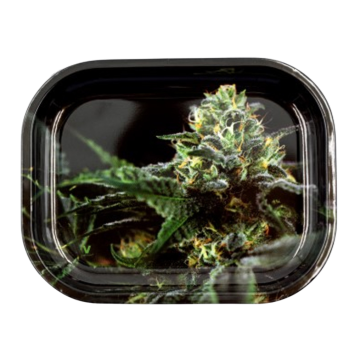 Rolling Tray Small – O.G. Kush Edition, 14 x 18cm