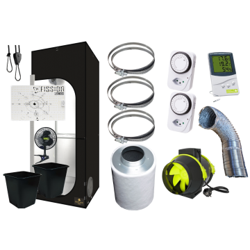 Vision of Hemp 2 Pflanzen Sparset (60x60)