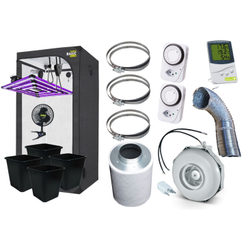 Vision of Hemp 4 Pflanzen Sparset (100x100)