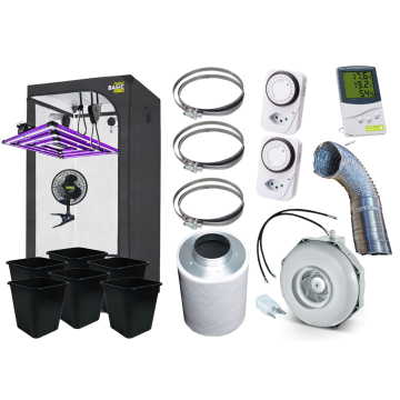 Vision of Hemp 6 Pflanzen Sparset (120x120)