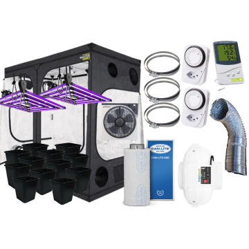 Vision of Hemp 12 Pflanzen Sparset (120x240)