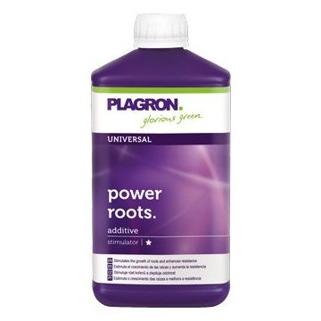 Power Roots, 250ml