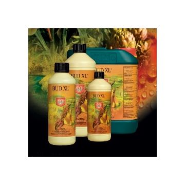 Bud-XL, 5L